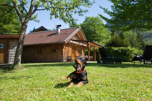 Ferienhaus Salzkammergut, Pension in Bad Ischl