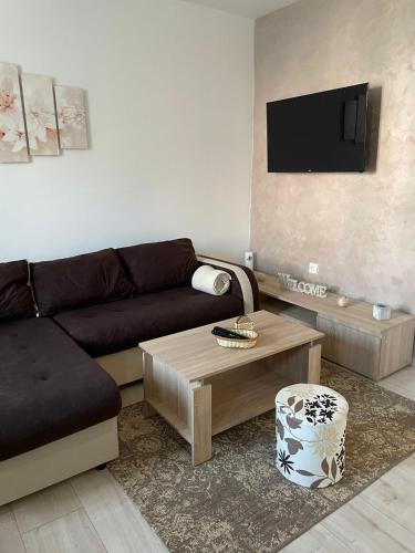 Accommodation in Opština Beograd-Zemun