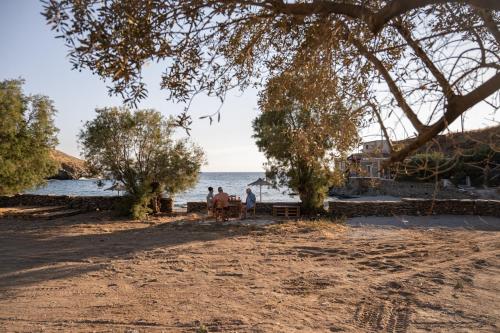 Beachfront bungalow in the area of Kampi, near Koundouros