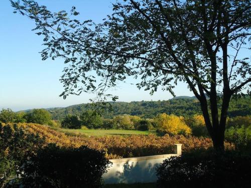 STUDIO TERRASSE PISCINE UZES PONT DU GARD