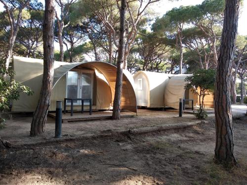 Camping 3 Estrellas