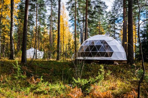 Igloo Glamping LakeLand Camp