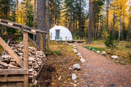 Igloo Glamping LakeLand Camp