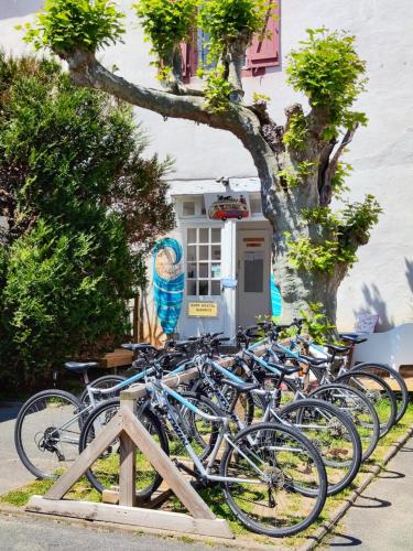 Biarritz Surf Hostel