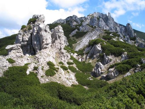 Apartmány pri Studničke - main image