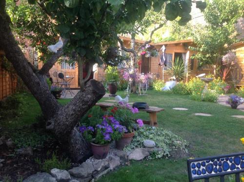 Alice Guest house
