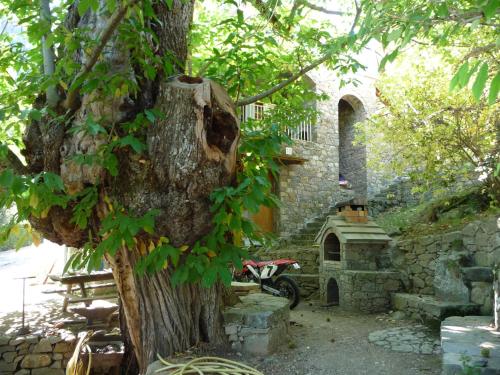 Chambre d'Hôte "Chez Antoinette et Charles"