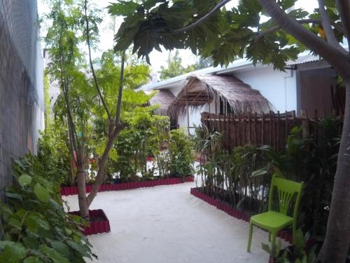 B&B Maafushi - Maafushi View - Bed and Breakfast Maafushi