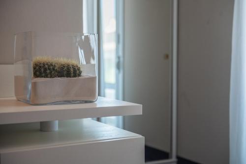 Hotel Anthony - Tap to explore photos