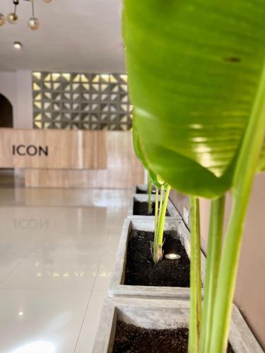 . Icon Hotel