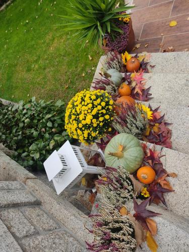 Posada Rural La Flor - image 14