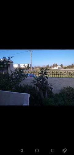 Bizerte