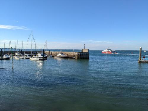 Insignia, Cowes (foto 3)