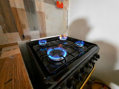 Lola's Nest along the Highway - Free Parking, Wifi, Netflix & Rooftop views