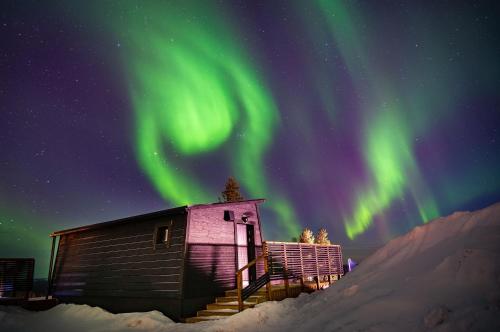 Aurora Collection