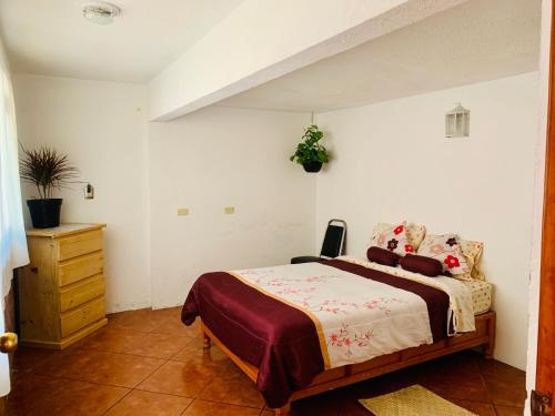 Casa Rústica Casa Rústica