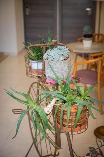 Diros Hotel - image 8