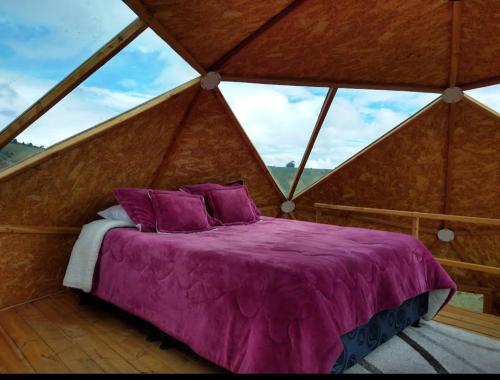 2 double beds, 1 sofa bed