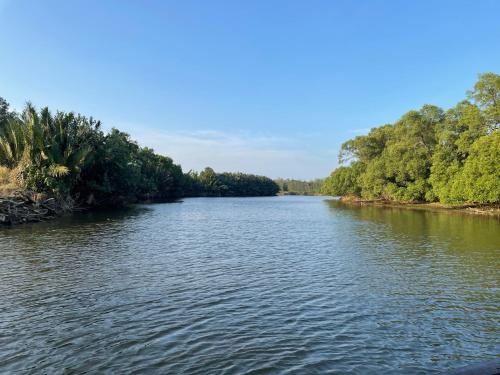 Surrounding environment, Qimmy Riverside Floating Cabin in Kuala Ibai