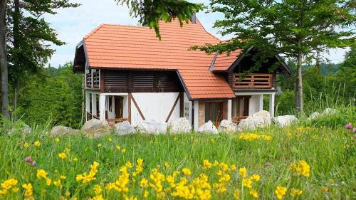 Apartments Andrić