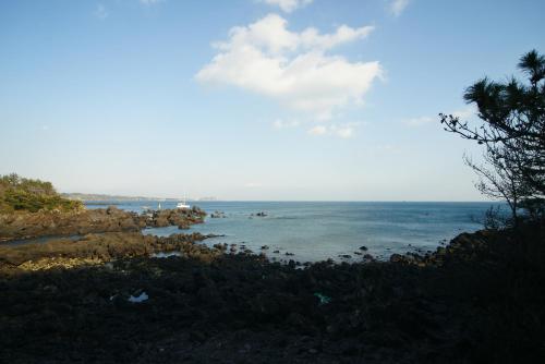 Sunny Day Jeju