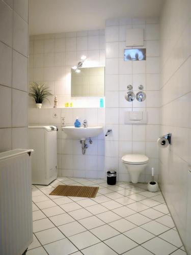 Exklusive Wohnung mit Dachterrasse in Schleußig, Lipsko (fotografie 8)