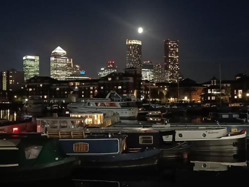 ALTIDO House Boat in Limehouse Marina