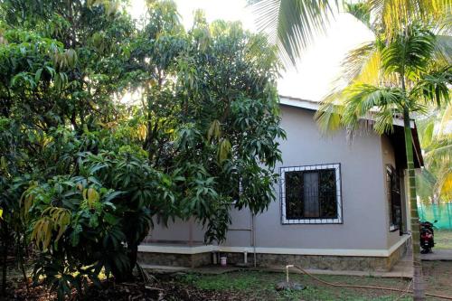 DK 1Bhk Villa Alibaug