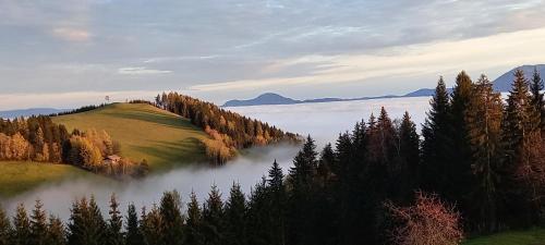 Almchalet Schuster in Diex, Österreich