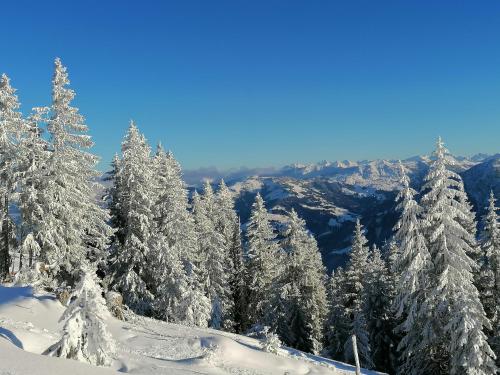 Farnreit in Brixen im Thale, Österreich