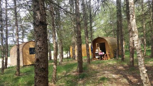 Glamping Pod im Wald