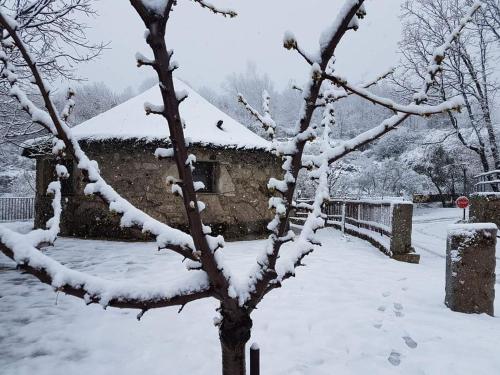 Chozos Rurales El Solitario gîte à louer Baños de Montemayor