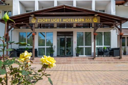 Hotelli välisilme, Zsóry Liget Hotel & Spa Superior (Zsory Liget Hotel & Spa Superior) in Mezokovesd