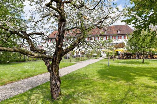 Kloster Dornach / Basel - image 4