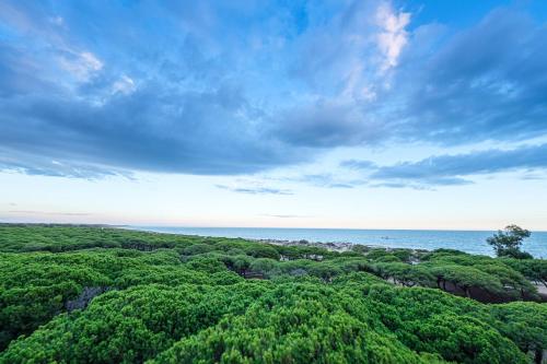 Estival Isla Cristina