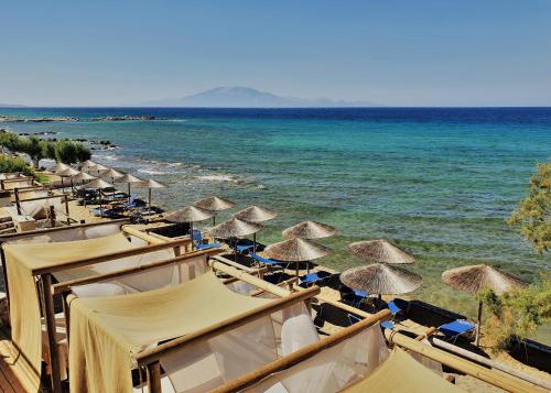 Tsamis Zante Suites