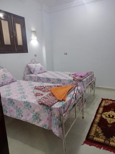 Nubian Queen Guest House Room Type - Double or Twin Room with Private Bathroom Nubian Queen Guest House Room Type - Double or Twin Room with Private Bathroom