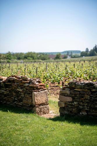 Casa Ladoit - maison d'architecte vue sur vignes