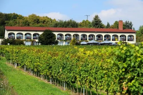 Hotel Rebschule in Freyburg Unstrut, Deutschland