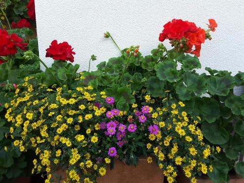 Loretz Luzia Loretz Luzia