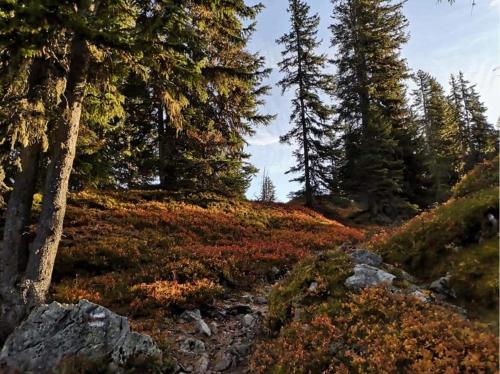 Loretz Luzia Loretz Luzia