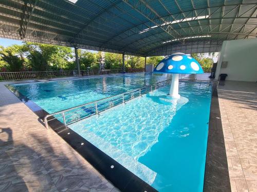 Swimming pool, ปีกุนรีสอร์ท & Swimming pool (Pigoon Resort) in Nakorn Pathom