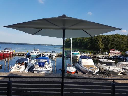 Maisonette Jocki P6 A9 in Plau am See, Deutschland