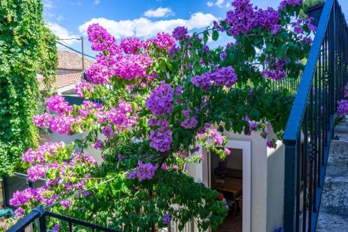  Apartments and Rooms Marino in Trogir