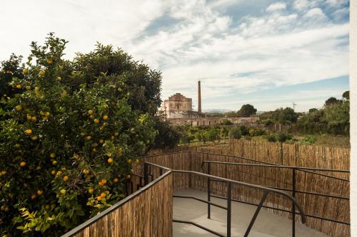 Vrt, Orange Vibes Guest house in Paterna