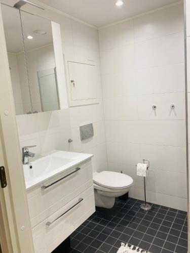 Perfect moutain getaway! Beautiful Apartment at Skagahøgdi with Panoramic View in Gol