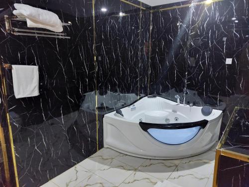 فندق تايا - Taya Hotel in アンカラ