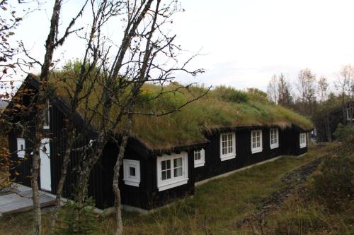 . Gålå Fjellhytte - cabin with sauna and whirlpool tub