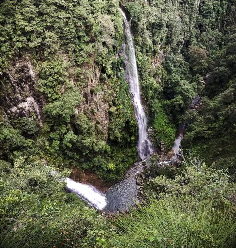 Binna Burra Rainforest Campsite