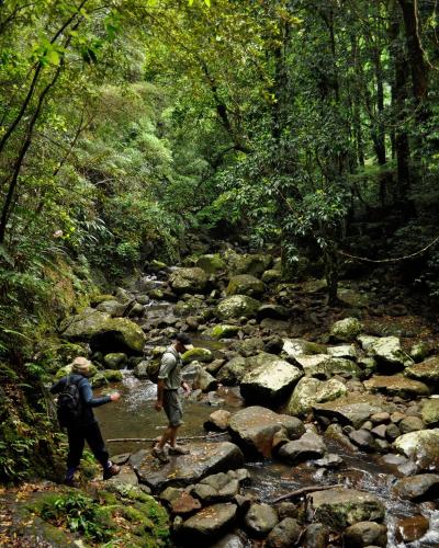 Binna Burra Sky Lodges